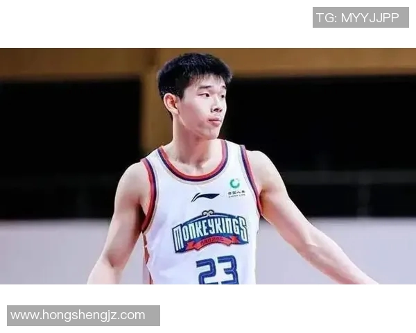 篮球明星林威的传奇之路与辉煌成就揭秘